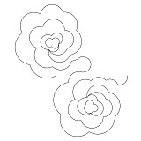 just roses pano